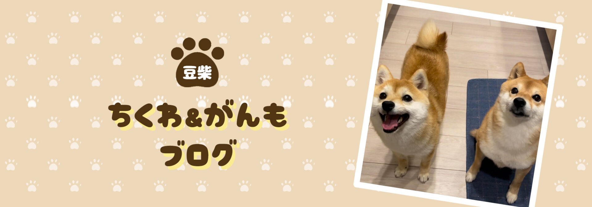 豆柴ちくわ&がんもブログ